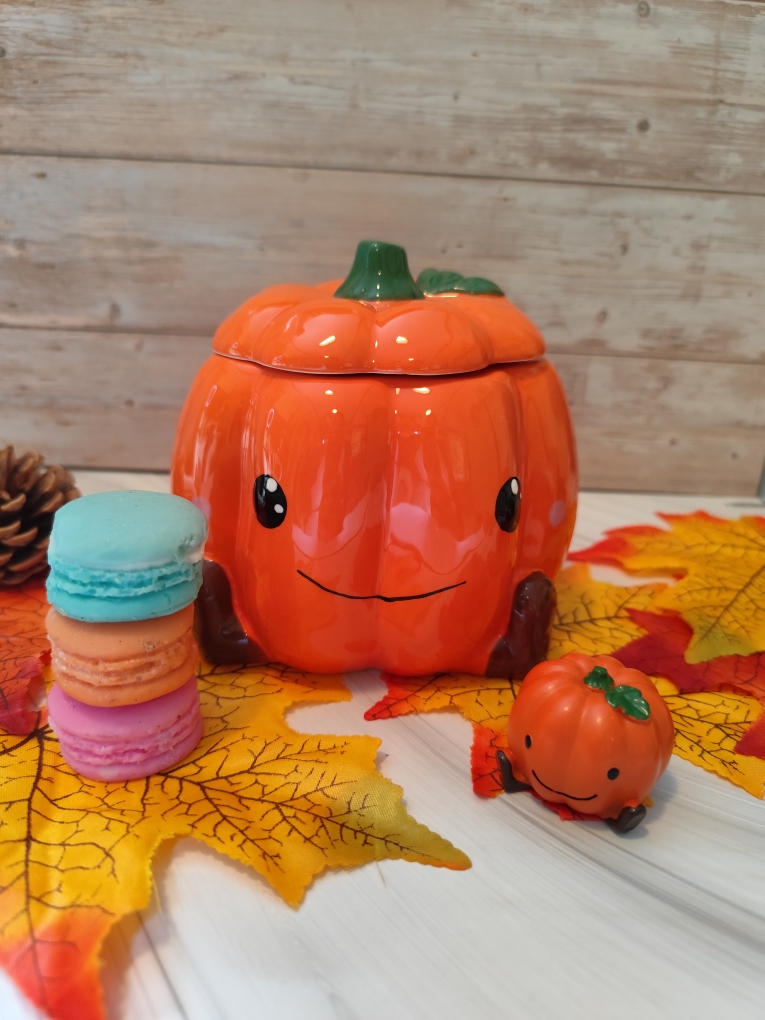 Brûleur Citrouille Gourmande avec Mini offerte